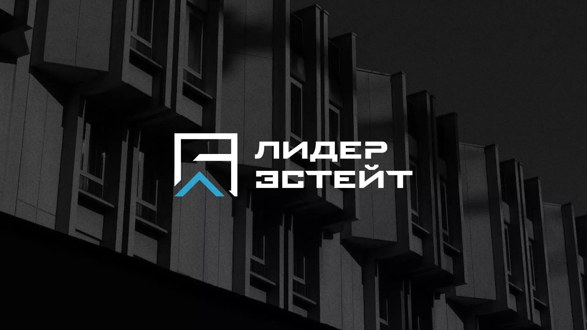Разработка логотипа агентства недвижимости «Лидер Эстейт» в Карабаше